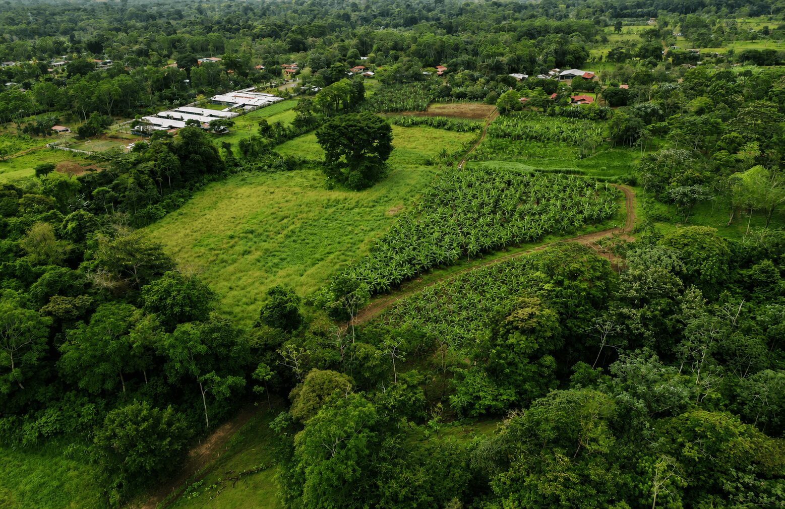Lotes y terrenos en San Carlos, Costa Rica
