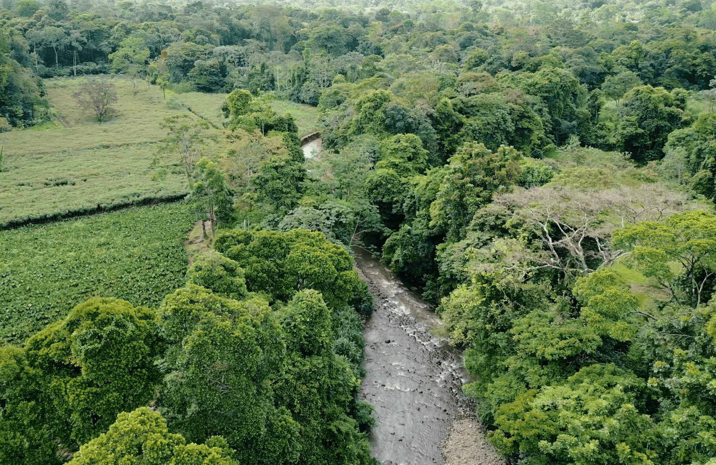 Terrenos cerca de La Fortuna, San Carlos